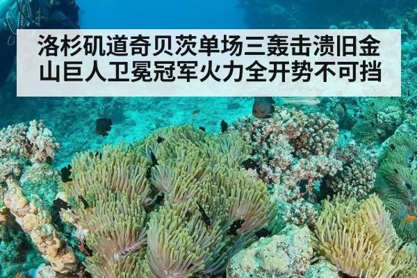 洛杉矶道奇贝茨单场三轰击溃旧金山巨人卫冕冠军火力全开势不可挡
